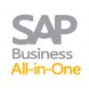 SAP Business All-in-One（S