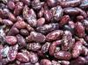 长期批发紫花芸豆 量大从优 质量**