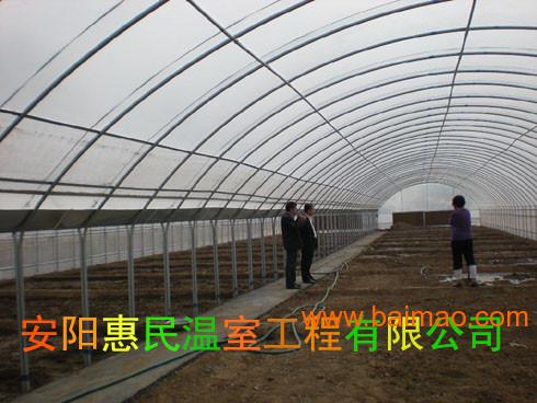 山西郑州无支柱日光温室大棚建设方案