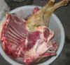 冷冻羊肉 进口羊肉批发价格 冷冻羊副批发厂家