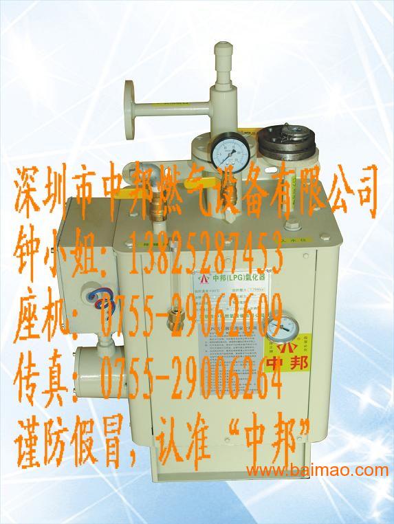 新款深圳中邦30KG/H方形壁挂式气化器