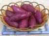 山东紫薯批发-河北紫薯