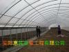 农业蔬菜大棚骨架 郑州钢架温室大棚安装建设团队