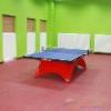 乒乓球塑胶地板品牌 乒乓球运动地板#乒乓球塑胶地板
