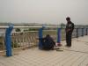 黑龙江养护护栏板采购，打桩机安装护栏板-冠县华安