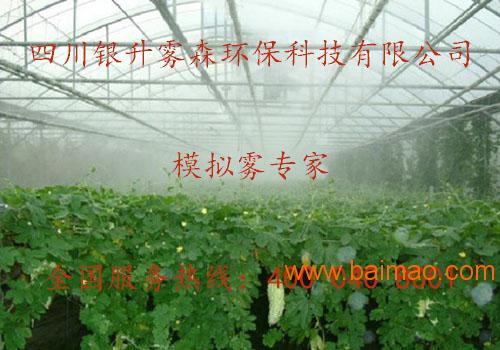 人造雾系统在温室的运用,四川重庆云南贵州人造雾温室