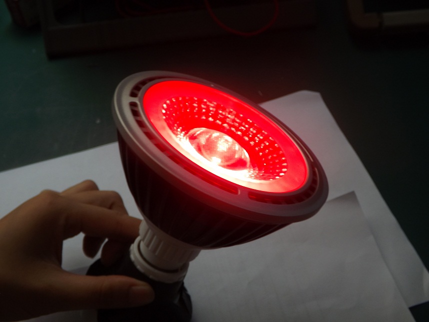 LED花期灯18W集成COB光源