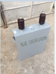 西安电容器BAM11-100-1W**生产供应