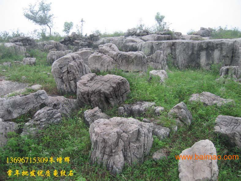 四川龟纹石产地图片