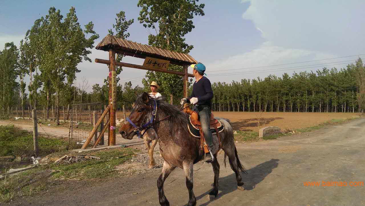 尋找太原周邊馬場,山西優質騎士時代公園式馬術俱樂部推薦廠家/批發