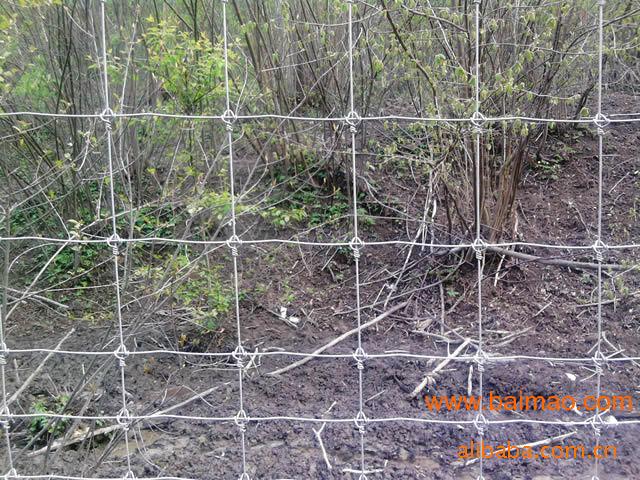 草原围栏网，镀锌牛栏网，安**防护网