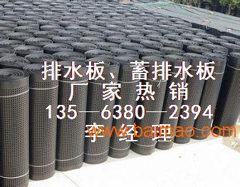 屋顶绿化排水板 舟山排水板厂家20mm排水板价格
