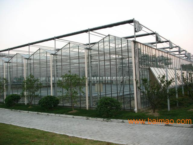 漳平温室大棚厂家|福建高质量的阳光板温室大棚