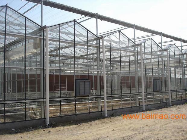 漳平温室大棚厂家|福建高质量的阳光板温室大棚