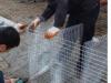 不锈钢貂鼠笼|不锈钢丝做成的貂鼠养殖笼|直销厂家