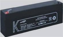 江西理士蓄电池DJ2-300官方价格