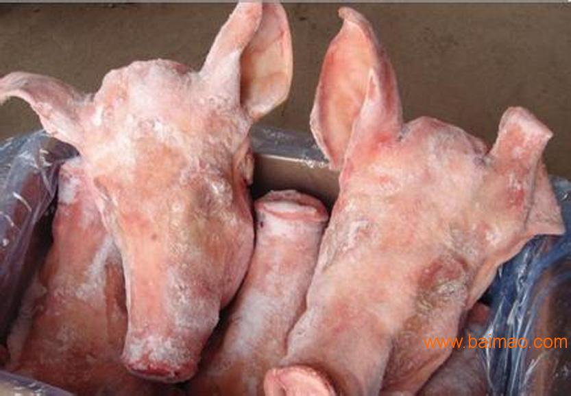 冷冻猪肚 进口猪肚批发 冷冻猪副产品批发厂家