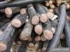 保定废旧电缆回收 保定废铜回收 保定废通讯电缆回收