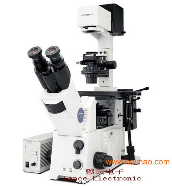 奥林巴斯研究显微镜BX43