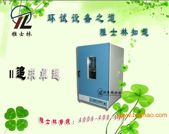 中国的电热鼓风干燥箱品牌