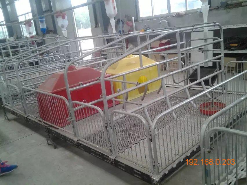 泊头养猪设备厂家直销 加厚的母猪产床 加重产床价格