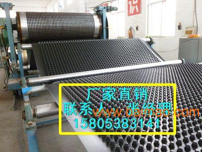 供应杭州小区绿化排水板6.0cm排水板