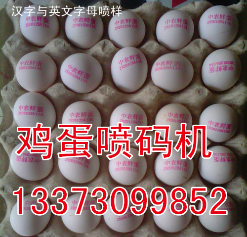 北京鸡蛋喷码机 **自动鸡蛋**机 商标喷码机厂家
