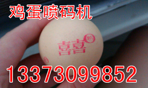 北京鸡蛋喷码机 **自动鸡蛋**机 商标喷码机厂家