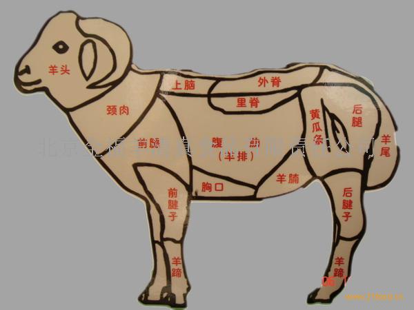 羊肉部位肉详细分解图图片