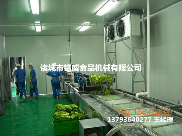 蔬菜清洗机设备厂家