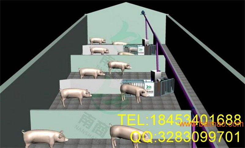 养猪料线  2106年新款自动化养猪设备
