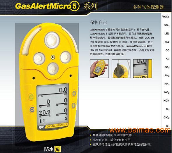 BW  GasAlertMicro5 M5气体检测
