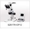 奥林巴斯体视显微镜SZ61-ILST（代理商）