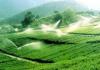 节水灌溉设备生产厂家