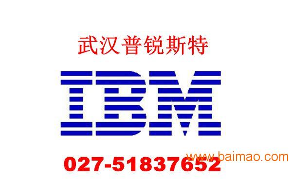 IBM P6 520 46K6941 热管理卡