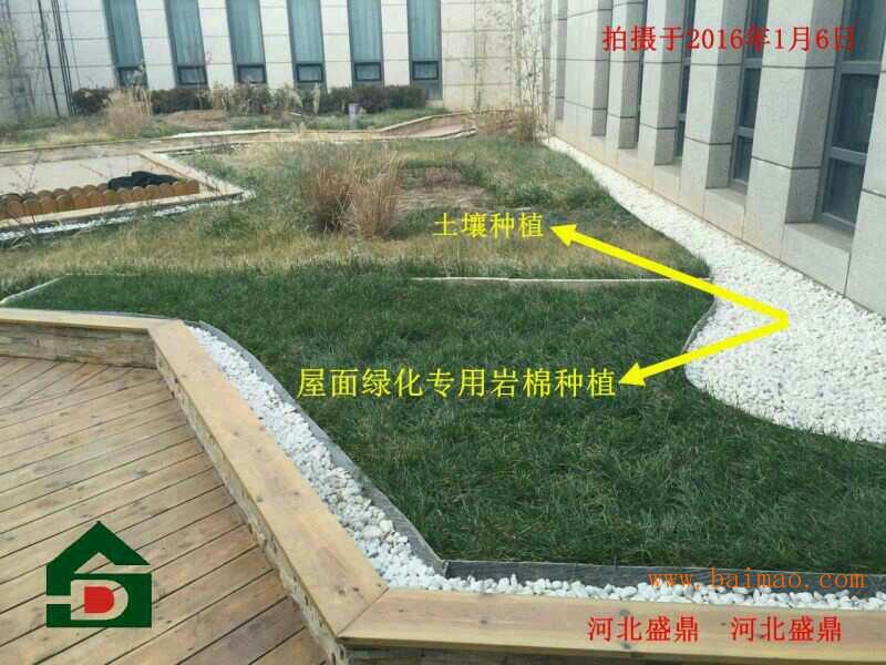 用于屋顶绿化岩棉改善城市空气质量
