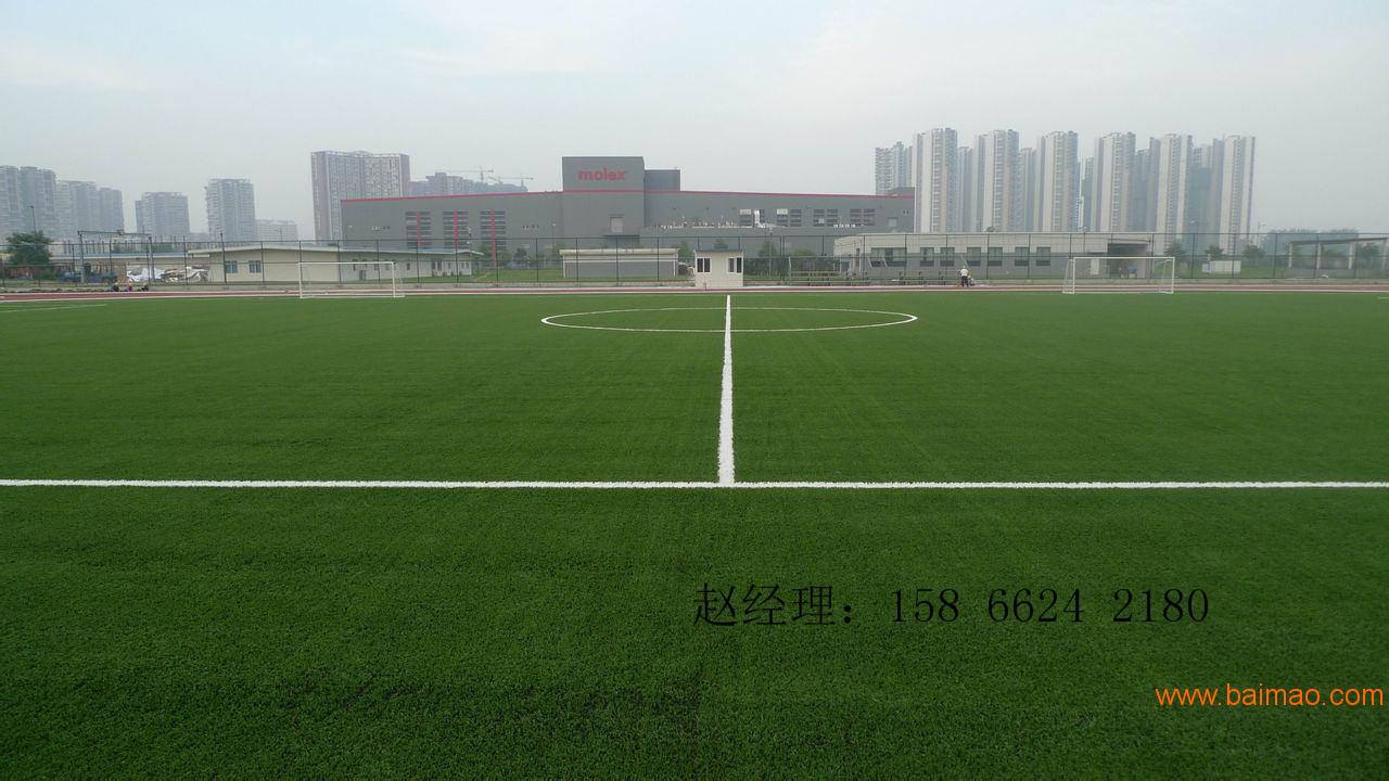 滕州济宁铺设人造草坪足球场的厂家