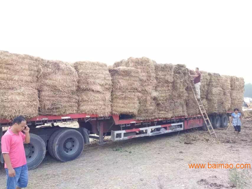 枣庄卧式小麦秸秆打包机价格优势