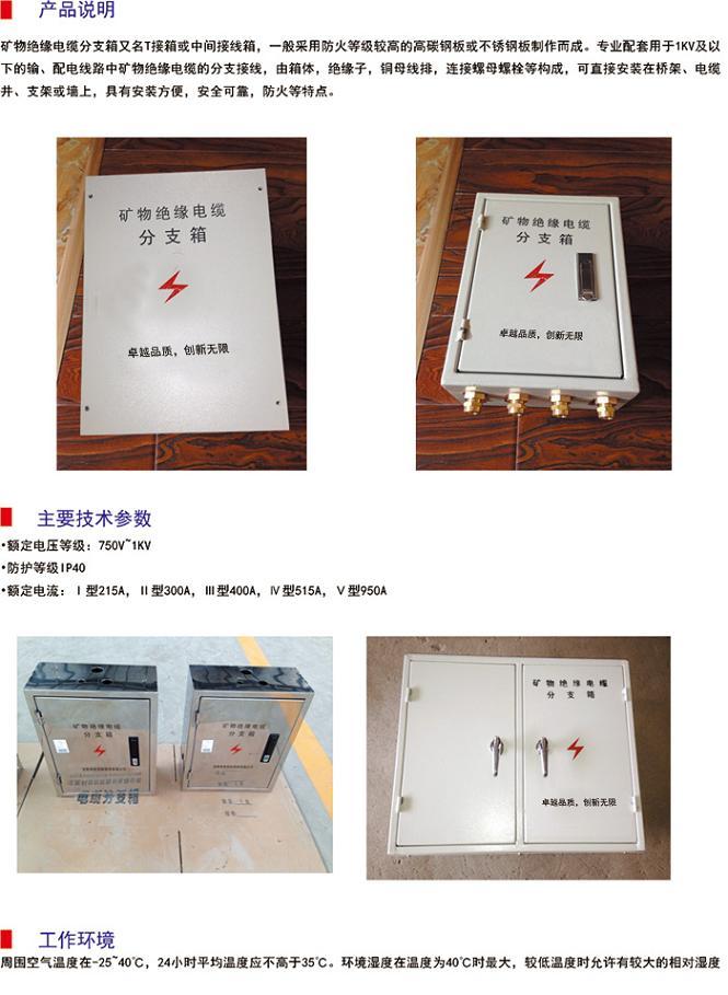 防火电缆分支盒、矿物电缆T接盒、矿物电缆分支盒