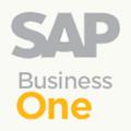 SAP Business One-中小型企业ERP