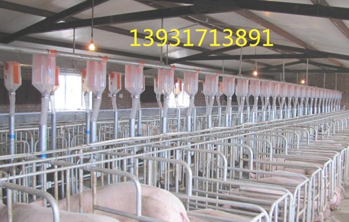 泊头永质养猪设备生产定量杯，母猪产床，自动喂料系统