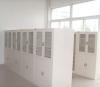 重庆实验室家具/实验室装修/实验室钢木文件柜