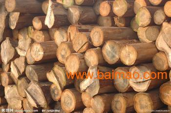 广州黄埔港木材进口报关公司，伯利兹木材进口清关代理