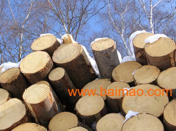 广州黄埔港木材进口报关公司，比利时木材进口清关代理