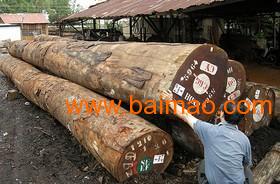 广州黄埔港木材进口报关公司，东南亚木材进口清关代理