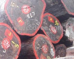 广州黄埔港木材进口报关公司，东南亚木材进口清关代理