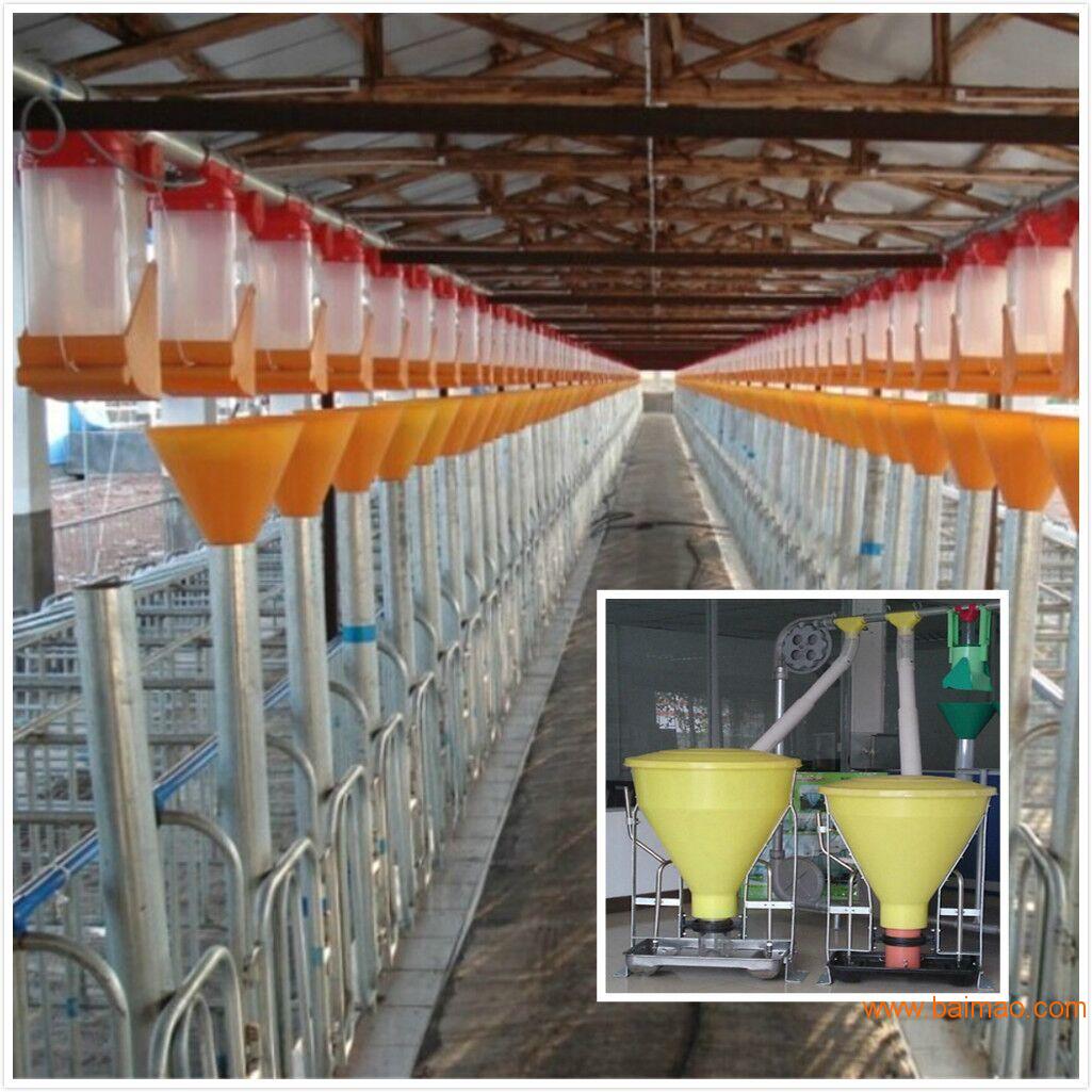 干湿饲喂器 自动干湿喂食器 正红养殖设备厂**生产