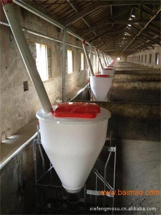干湿料桶 不锈钢底盘料槽 **山西正红农牧机械