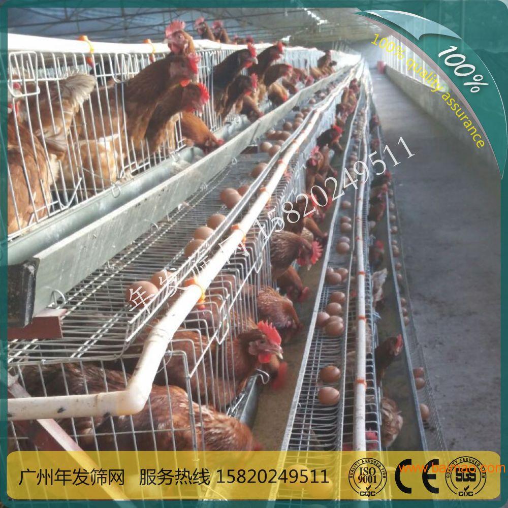 广州鸡笼厂家**生产出口坦桑尼亚大型养殖场鸡笼具