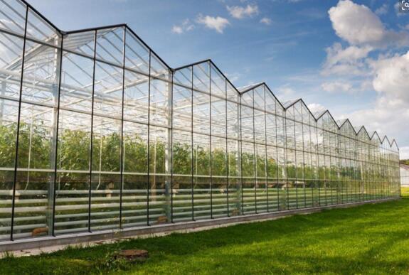 连栋玻璃温室-花卉玻璃温室-智能花卉温室